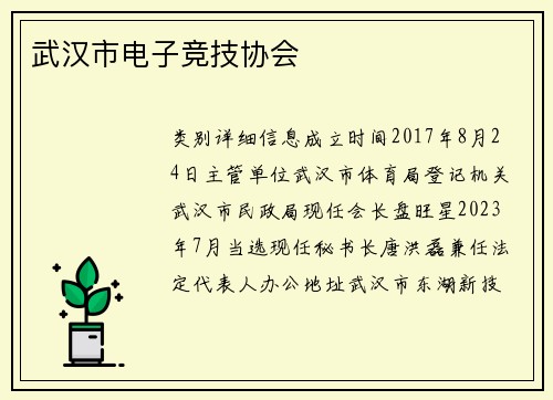 武汉市电子竞技协会